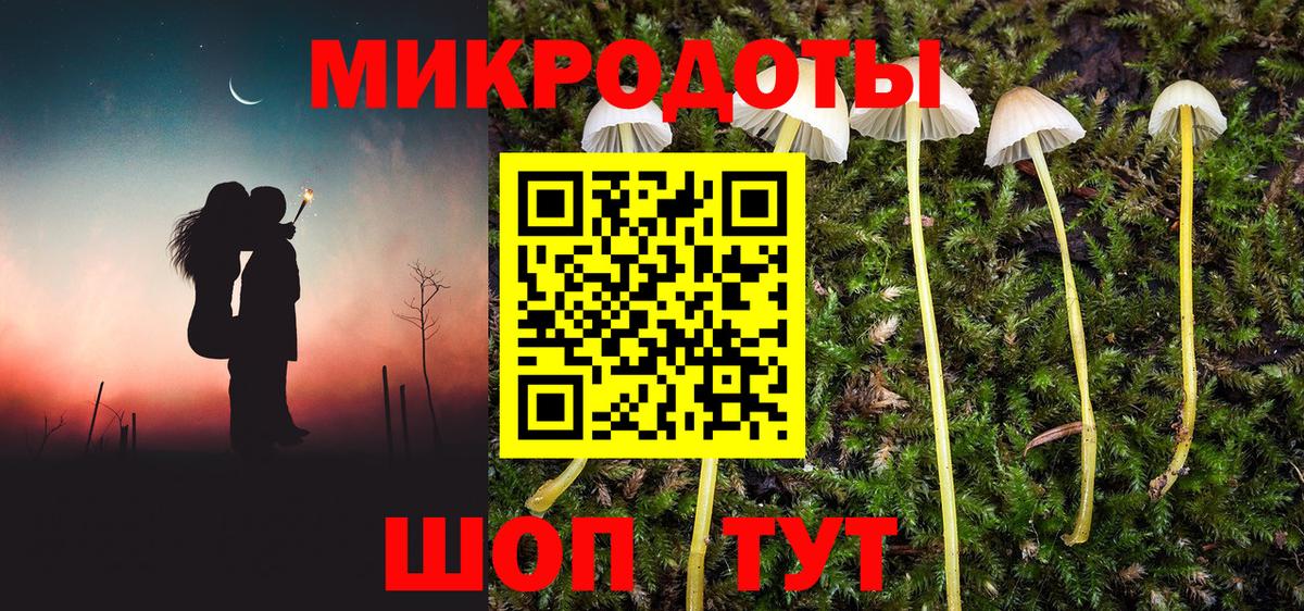 Псилоцибиновые грибы Psilocybe  Вход с VPN  Сосновый Бор  Псилоцибиновые грибы мицелий 